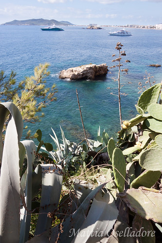trees sea cactus cliff plants beach landscape boats coast spain rocks mediterranean view yacht shoreline ibiza eivissa balearic
