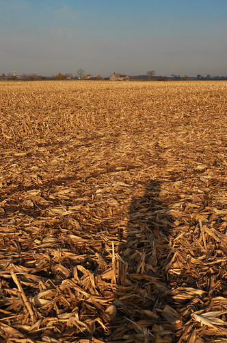 blue shadow sky cloud black field yellow haze corn farm horizon harvest agriculture stubble