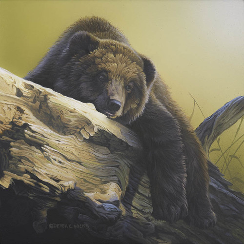 original art painting cub wildlife canadian grizzly derekwicks