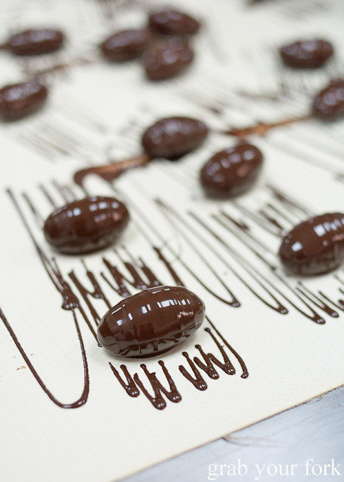Chocolate dipped and drizzled dates at Bateel Date Factory, Dubai