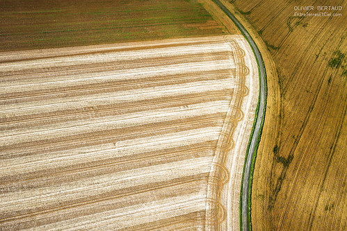 b canon landscape champs du ciel 7d entre paysage et vue olivier 1022 agricultural blé terres agricole chaumes chaux