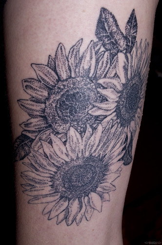 Sunflowers (335 // 17 11 11)