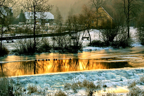 winter bird ice water animal sunrise river germany frozen duck wasser fluss ente eis sonnenaufgang tier vogel wehr jagst gefroren coth sindringen