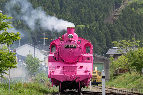 Pink SL at Wakasa Railway (17)