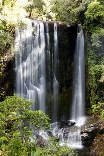 green waterfall waikato lakewaikaremoana korokorofalls