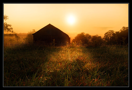 county trees light sun mountains grass fog barn sunrise shadows farm rays morgan