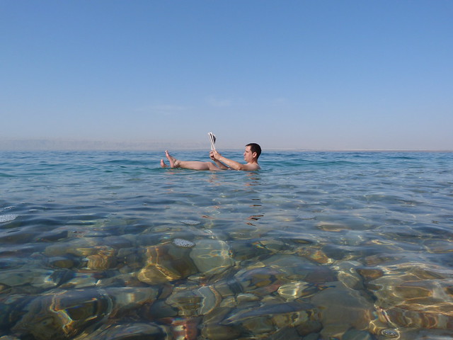Sele en el Mar Muerto (Jordania)