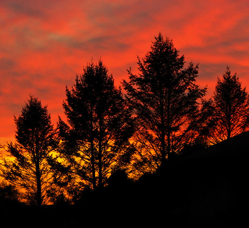 trees sunset tree photoshop canon landscape pennsylvania pa s3 pse silohuette pottstown canons3is dcsaint montgomerycountypa pse10 photoshopelements10