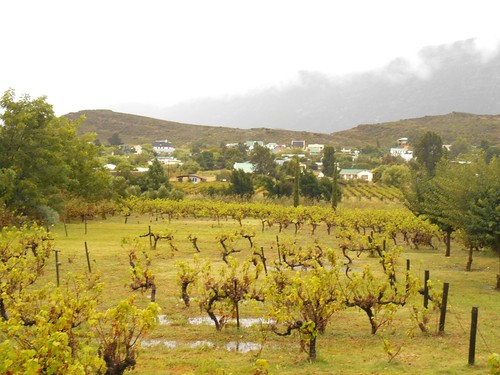 africa hotel march vineyard view south tuesday westerncape karoo 2014 route62 barrydale mar2014 25mar2014