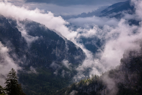mountain fog clouds forest österreich oberösterreich hinterstoder