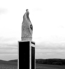 Cantigny (monument américain 1914-18) First US Division 4290a-nb