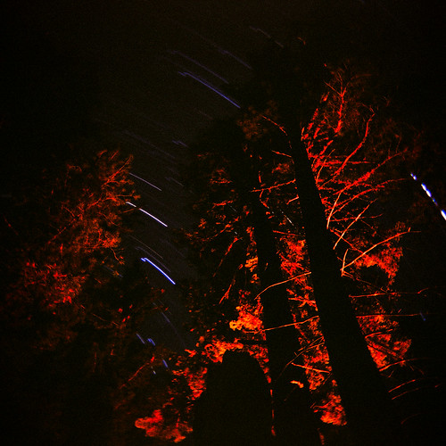 longexposure camping trees film night forest dark stars fire star timelapse holga woods fuji toycamera ishootfilm campfire negative yosemite backcountry startrails hetchhetchy holgamods laurellake filmisnotdead
