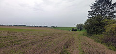 View WNW from near the railway line E of Grévillers