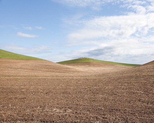 usa brown field landscape washington bare farming hills getty agriculture rollinghills palouse