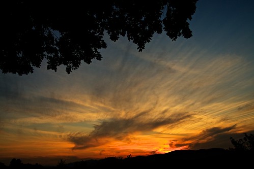 sunset tree clouds jura photostream oberaargau roggwil