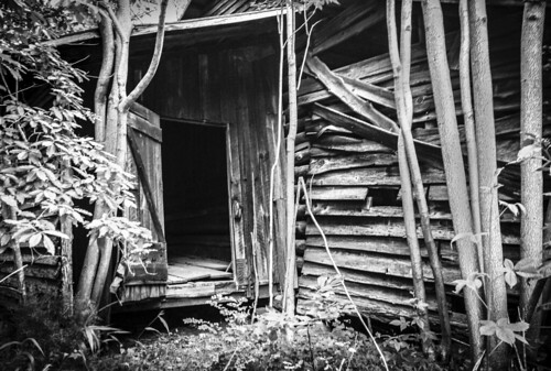 bw abandoned virginia woods shed cellphonephoto bobbell pittsylvania