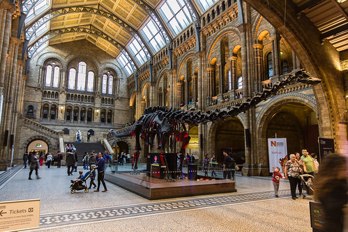 Natural History Museum. London. England