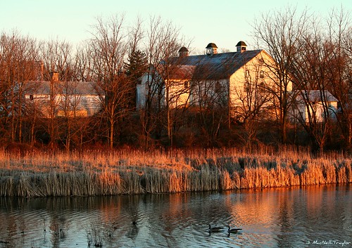 barn geese pennsylvania farm historic pa wetlands lancaster farmstead mayerhouse