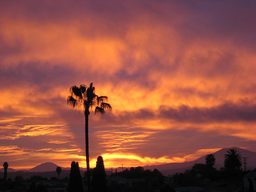 california red sky orange clouds sunrise canon dawn sandiego palm