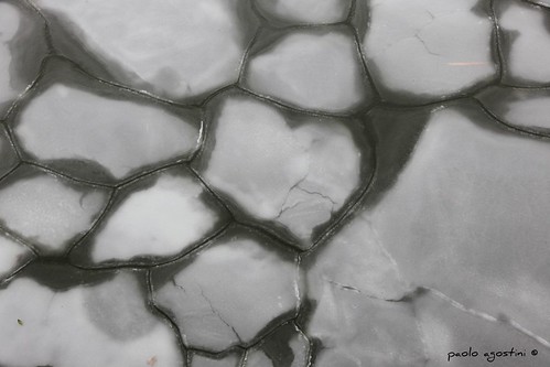 winter ice inverno chioggia ghiaccio veneto palladiana cabiancadichioggia canalmorto