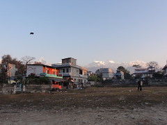 Nepal (658)