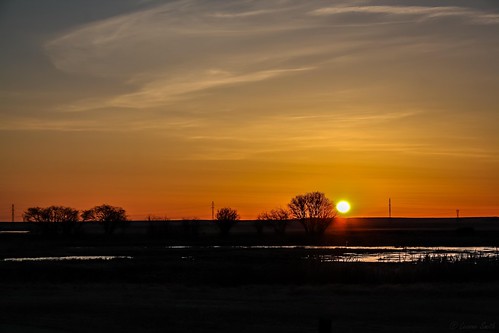 morning sunrise dawn alberta prairie