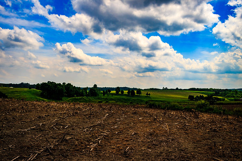 trees field clouds landscape farm polarizer davidsharo