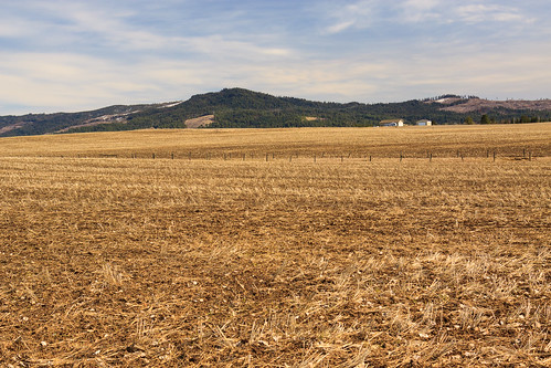 mountains unitedstates idaho palouse deary latahcounty