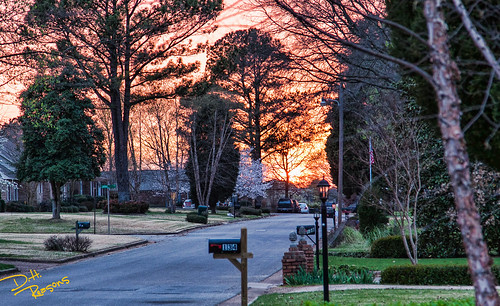sunset florence time alabama neighborhood thecedars geocity camera:make=canon exif:make=canon exif:focal_length=105mm exif:iso_speed=400 camera:model=canoneos50d geostate geocountrys exif:lens=ef24105mmf4lisusm exif:model=canoneos50d exif:aperture=ƒ40 geo:lon=87656869444444 geo:lat=34834963888889