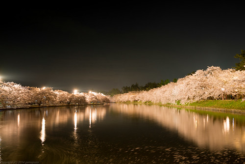 japan night cherry pond nikon aomori 日本 sakura hirosaki d800 夜桜 hirosakipark 青森県 ライトアップ 弘前公園 弘前市 afsnikkor35mmf18ged