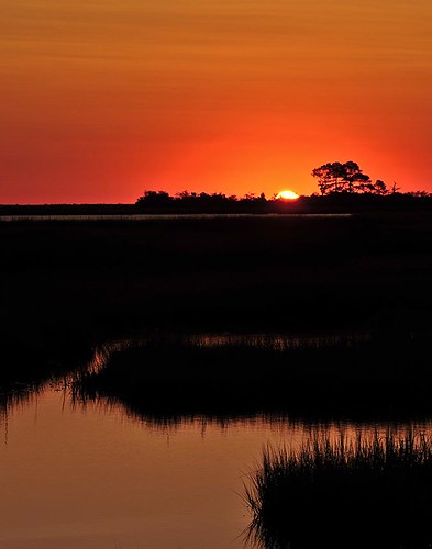 morning water grass sunrise reflections dawn virginia wetlands chesapeakebay poquoson messickpoint