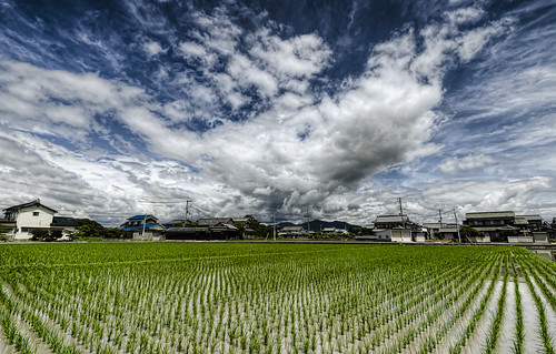 water field japan clouds asia rice geotag hdr 2011 bo47 bonielsen nikond3s taishichō