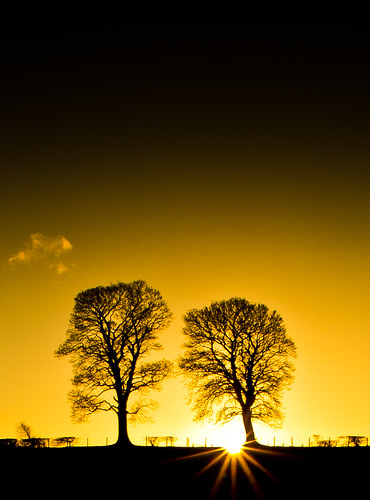 trees sunset sky cloud sun landscape gold sigma sonya35