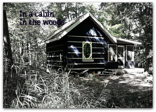 old lake ontario canada rural forest landscape skeleton cabin woods panasonic muskoka patty dmcfz5 ohearn memotions kickham