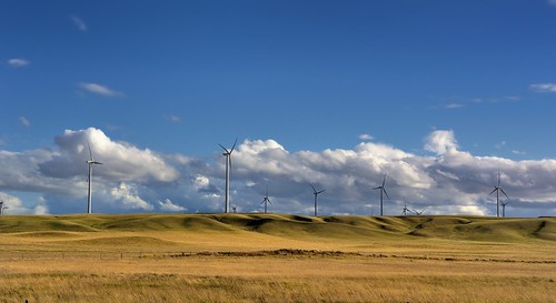 nature montana day unitedstates windmills clear shelby blueskies windturbines windmillfarm project365 colorefexpro grassyfields cloudsabove nikond90