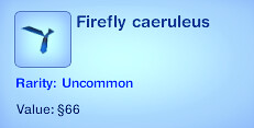 Firefly Caeruleus