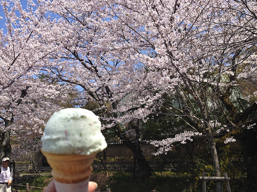 Cherry blossom ice cream