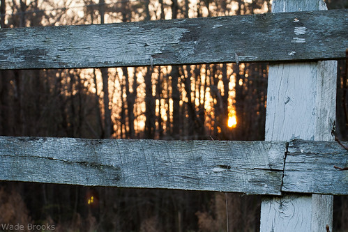 wood morning sunrise canon fence eos rebel hff project365 xti