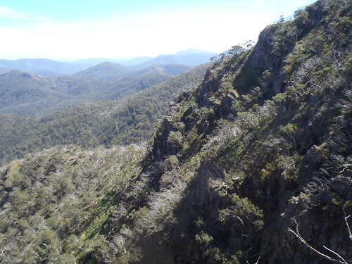 hiking australia victoria bushwalking