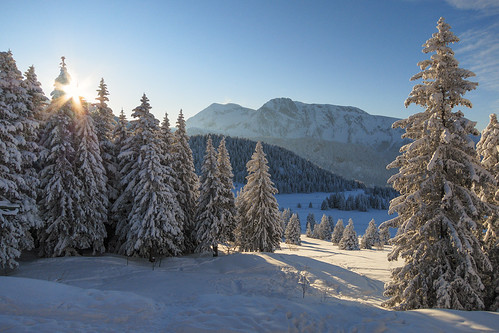 morning blue schnee trees winter light shadow sky sun mountain snow ski france mountains alps cold tree nature yellow forest montagne alpes grenoble canon landscape frankreich warm europe frost skiing shadows trails freezing frosty rhône powershot berge trail freeze alpen philipp chamrousse s100 klinger isère powershots100 rhônealpes canonpowershots100 dcdead