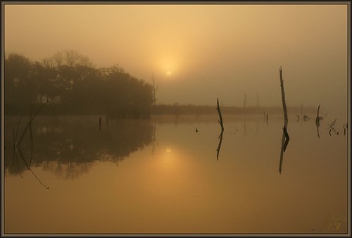 reflection fog sunrise golden texas bayou pasadena canoeing paddling bayareapark armandbayou wanam3