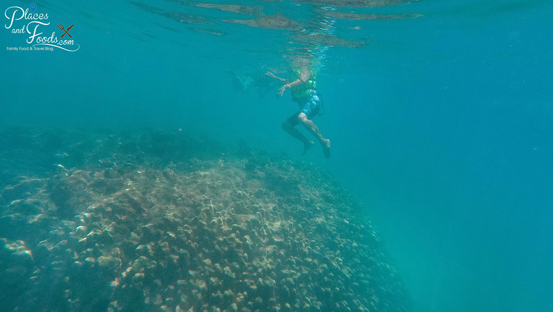 tachai island snorkeling