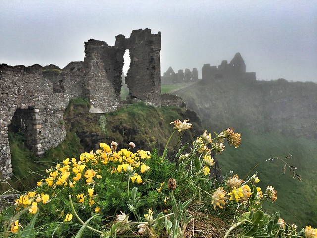 Castillo de Dunluce (Irlanda del Norte)