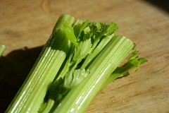             celery bunch