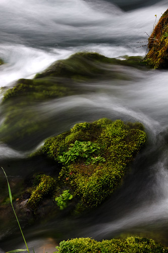 green water stone moss spring big peace calm missouri spiritual