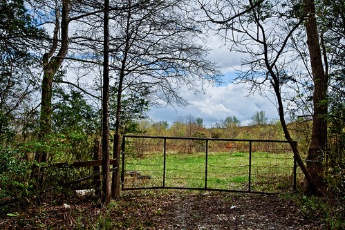 trees field rural fence landscape spring louisiana gate pasture roadside canonefs1022mmf3545usm 17mm mrgreenjeans gaylon bakerla gaylonkeeling mchughrd