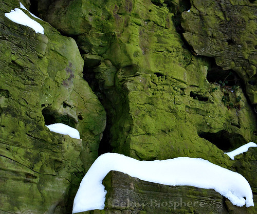 winter cliff snow green rock moss sony outcropping dscr1