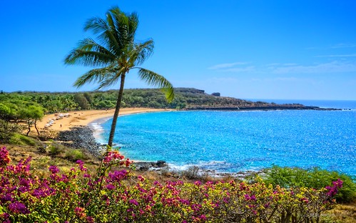 travel vacation seascape tree beach lumix hawaii shoreline palm panasonic hawaiian lanai lx5