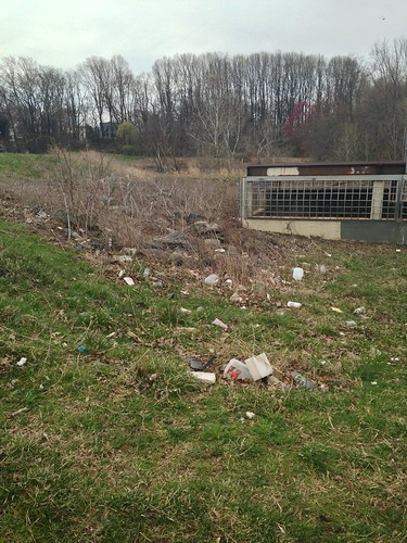 Image of stormwater pollution. 