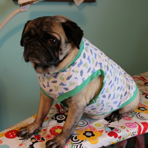 Pug Pajamas
